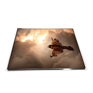 Cheap LTM15C166S 15.0 inch LVDS TFT LCD Display Screen Panel for sale