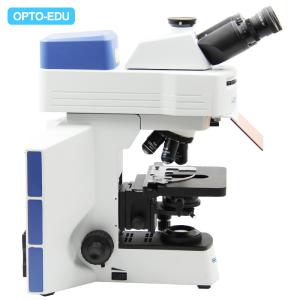 Cheap OPTO-EDU APO Objective Infinity Trinocular Fluorescence Microscope with Disc LED A16.0908-L for sale