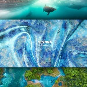 Experience Unmatched Flexibility And Comfort With Stretch Leggings Fabric