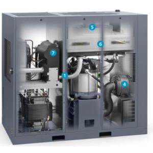 China GA Series GA75 Oil-Injected  Atlas Screw Air Compressor on sale