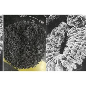 Cheap +100 Mesh High Carbon Expanded Graphite for sale