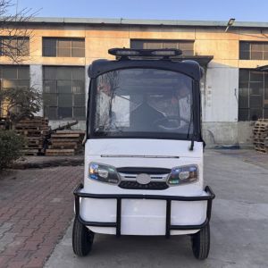 Electric Passenger Four-Wheeler with 4-Person Capacity 2260mm Length and 960mm