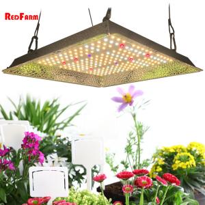 China Horticulture Manual Dimming lm301B LED Full Spectrum Grow Lights on sale