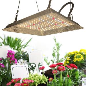 Horticulture Manual Dimming lm301B LED Full Spectrum Grow Lights