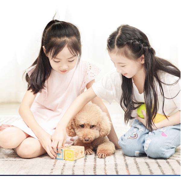 Airradio 2 Stage Filter Tobacco Smoke Air Purifiers 170m3/H CADR