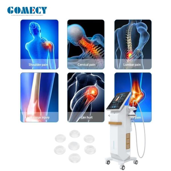 Quality Focus Shockwave Therapy Machine Musculoskeletal System Disorders Clinic Use wholesale