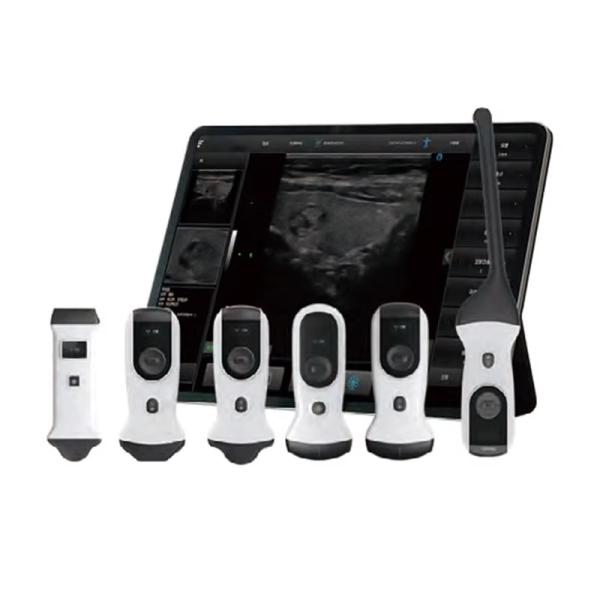 LUSONIC Portable Ultrasound Device for B/C Mode and Spectral Doppler Aesthetic Medicine Equipment with Full HD Resolution