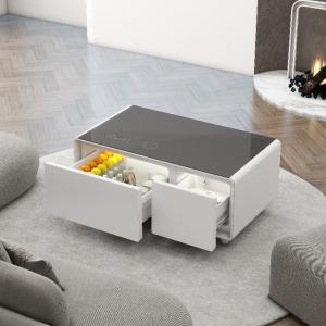 Living Room Furniture Smart Coffee Table with 2 Refrigerator Drawers and