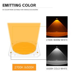 Dual Color COB 6060 Bi Color LED COB Widely Range Color DC 205V 300w+300w LED