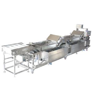 Leek Garlic Vegetable Fruit Washing Machine , Vegetable Washing Equipment