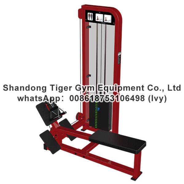 Quality Single Station Gym fitness equipment machine Low Row exercise machine wholesale