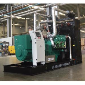 High Performance Natural Gas Power Plant CHP Unit