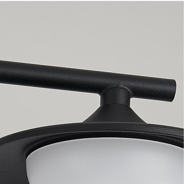 Unique Acrylic Black Aluminum Modern Pendant Light Different Shape