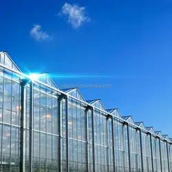 China Rectangular Glass Enclosed Tomato Plant Greenhouse With Wind Resistance on sale