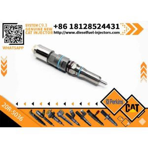 Quality Common Rail Fuel Injector 363-0493 456-3493 20R-5036 for CAT Engineering