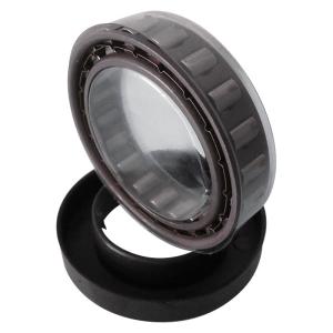 one way sprag cage Freewheels BWX1310226 assembly with sprags and double cages