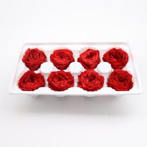 Long Lasting Preserved Rose Dome , 4-5cm Luxury Preserved Roses In Austin