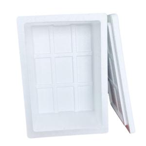 EPS Incubator Cold Chain Transport Foam Box Customization