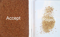 Optical 192 Channels CCD Rice Color Sorting Machine For Rice Mill