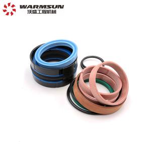 Telescopic Cylinder 10209797 Seal Kits DJ094A For Stacking Machine Fork Lift