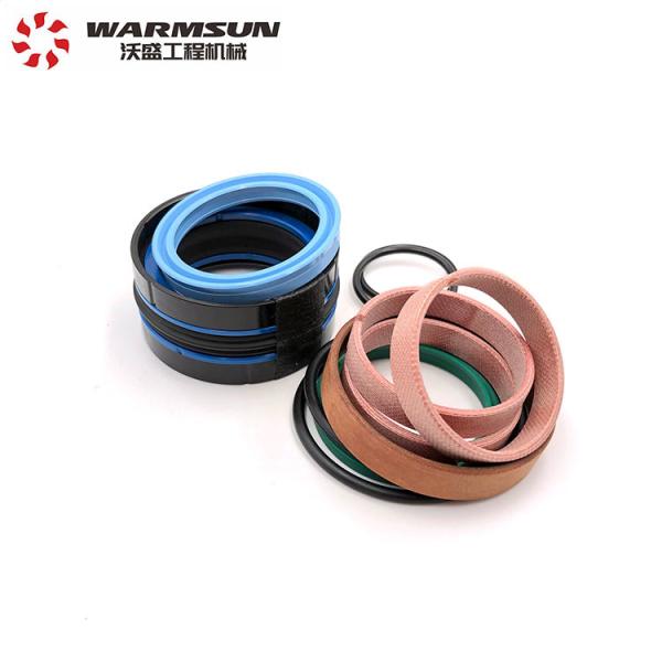 Telescopic Cylinder 10209797 Seal Kits DJ094A For Stacking Machine Fork Lift