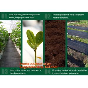 China Agricultural plastic ground cover weed mat, pp weed control mat, for greenhouse and outer use,ground cover, weed mat, ma on sale
