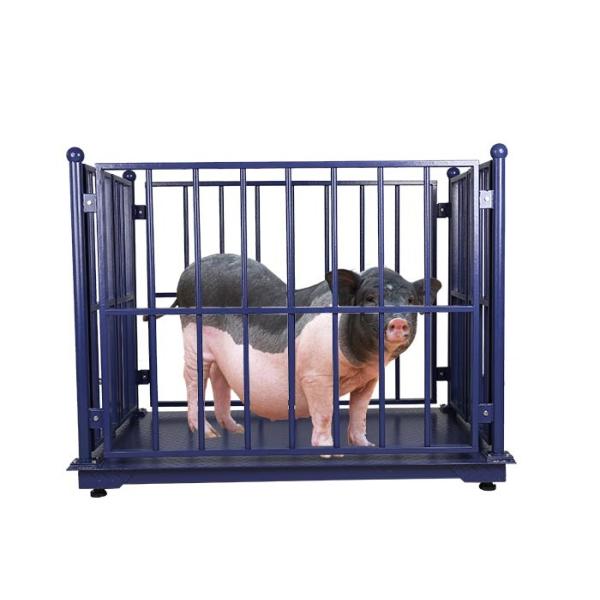 Quality LCD Electronic Cattle Weighing Scales wholesale