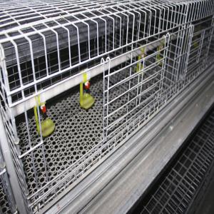 China Customized Multi Style Baby Chick Cage Multi Broiler Chicken Cage Poultry Equipment on sale
