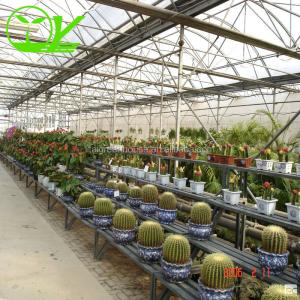 Hydroponic Farming Agriculture Greenhouse with 8m Wide Span and Transparent