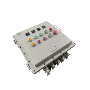 Customized Explosion Proof Control Panels distribution box With IP66 Protection