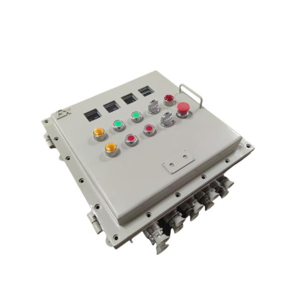 Customized Explosion Proof Control Panels distribution box With IP66 Protection