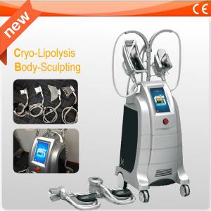China 4 Handles Cryolipolysis Weight Loss Equipment Slimming Machine For Fast Fat Reduction on sale