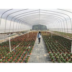 Arched Temperature Control Tunnel Green Houses With Outside Shading System