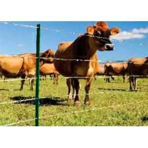 Budget V Mesh Security Fencing Basic Protection