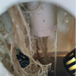 Perfect Vertical Column Hydroponic Aeroponic Planting System Aeroponic Growtower