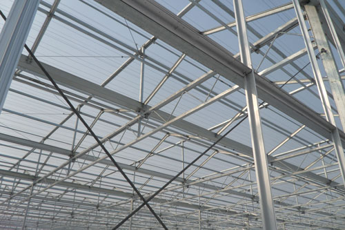 Quality Steel Structure in Constructing Agricultural Greenhouse wholesale