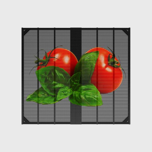 Quality High Brightness P3.91 SMD1921 See Through Full Color RGB Mesh Grille Large Indoor Transparent Glass LED Display Panel Screen wholesale