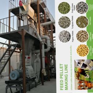 1-5 Tons/H Horizontal Pellet Mill Ring Die Chicken Feed Manufacturing Machine