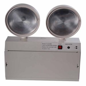 Wall Mounted Twin Spot Emergency Light with 6000K Daylight Alert 3-Year Warranty