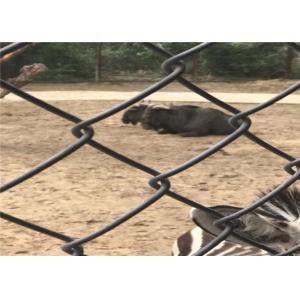Cheap Heavy Black Chain Link Fence 5.0 Diameter 6cm X 6cm Hole For Zoo for sale
