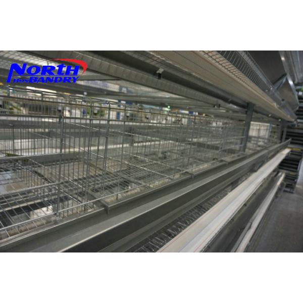 Quality Serbia A frame laying hens battery cages / used poultry battery cages for sale, automatic wholesale