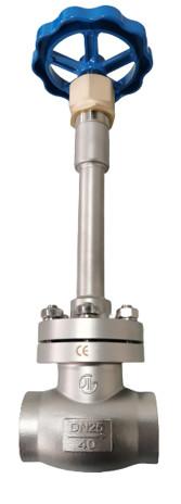 Casting Stainless Steel DN25 PN50 Cryogenic Handwheel Globe Valve