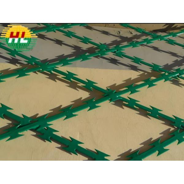 Quality PVC Multi Purpose Aesthetic Razor Barbed Wire Fence wholesale