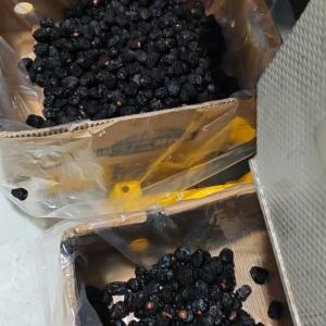 Smart Dates Sorting Machine, Powered by AI, High Precision, 8 lanes+10 outlets,