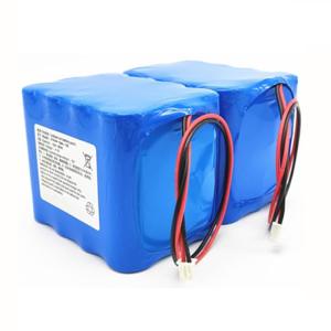 Lithium Ion Battery Pack 21700