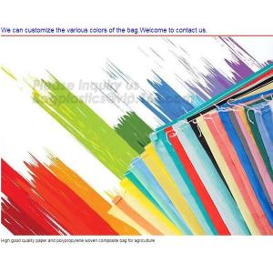 Custom recyclable kraft paper laminated pp woven food packaging bag with logo