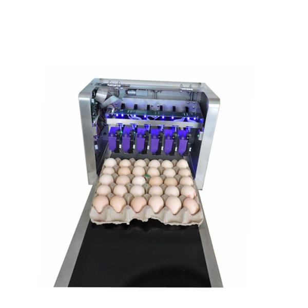 High Tech Carton Coding Machine Eggs Number Inkjet Printer With Solvent For Egg Supplier