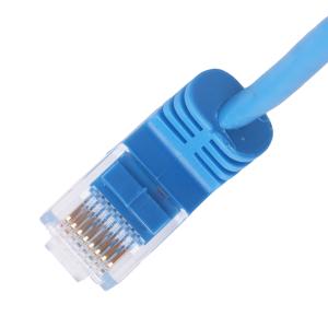 Vertical 90 Degree Interface Slim Utp Cable Gigabit Molded Ethernet Blue Length