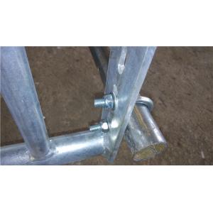 New Design Pig Gestation Crates Sow Farm Equipment Easy To Feed And Manage