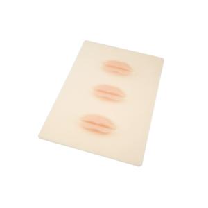 53.6g 3D Lip Permanent Makeup Practice Skin 19.1*14.2*0.15cm